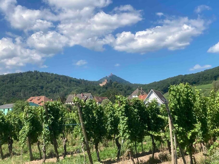 Le Belvedere Alsacien Селеста Экстерьер фото